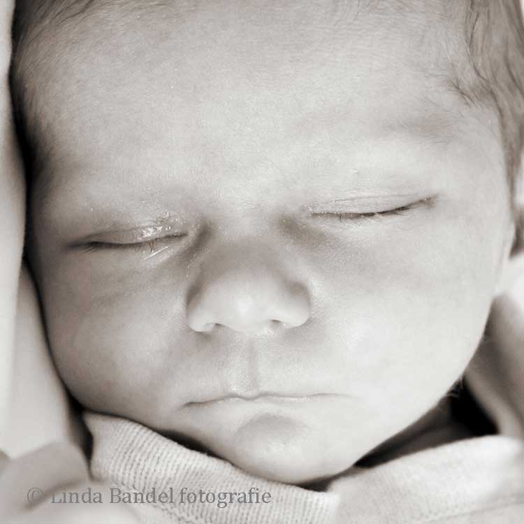 newborn-baby-fotografie-Den-Haag